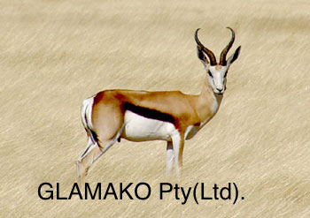 Glamako Pty Ltd