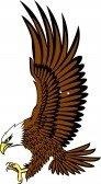 Hawk Electrical & Industrial Wholesalers (Pty) Ltd