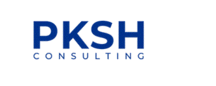 MV PIKASHE CONSULTING