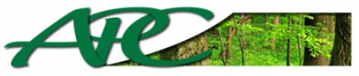 Asande Projects Consulting and Engineering